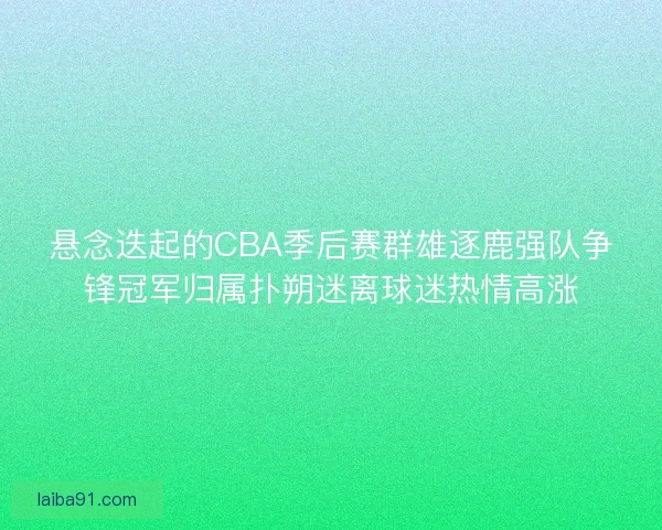 悬念迭起的CBA季后赛群雄逐鹿强队争锋冠军归属扑朔迷离球迷热情高涨